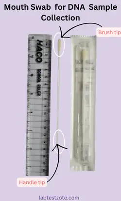Home DNA Test Sample Collection - A labtestzote.com kit